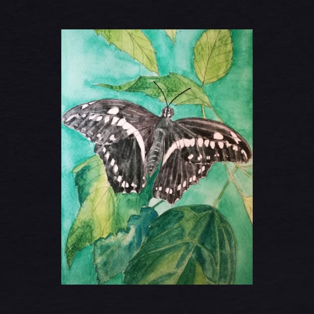 Black and white butterfly watercolour painting by esvb